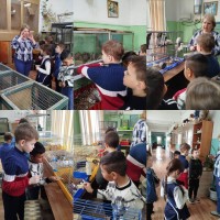 Изображение для новости Изображение для новости